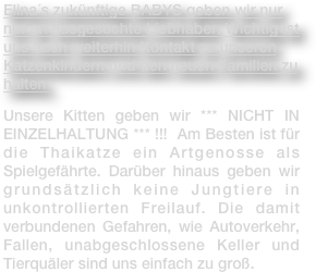  Elina´s zukünftige BABYS geben wir nur nur an ausgesuchte Liebhaber. Wichtig ist uns auch weiterhin Kontakt zu unseren Katzenkindern und den neuen Familien zu halten. 
Unsere Kitten geben wir *** NICHT IN EINZELHALTUNG *** !!!  Am Besten ist für die Thaikatze ein Artgenosse als Spielgefährte. Darüber hinaus geben wir grundsätzlich keine Jungtiere in unkontrollierten Freilauf. Die damit verbundenen Gefahren, wie Autoverkehr, Fallen, unabgeschlossene Keller und Tierquäler sind uns einfach zu groß.
