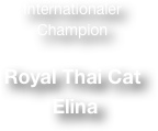 Internationaler
Champion 

Royal Thai Cat
 Elina 